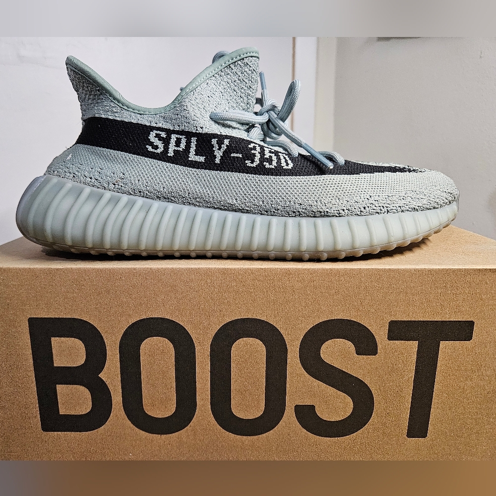 Size 9.5 - Yeezy Boost 350 V2 Salt
